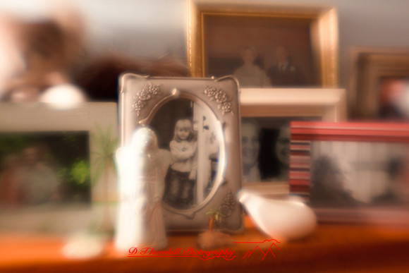 assorted_images-2009_89.jpg