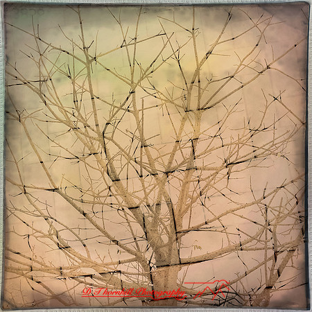 florida-march-2015-iphone-multi_exposure-007