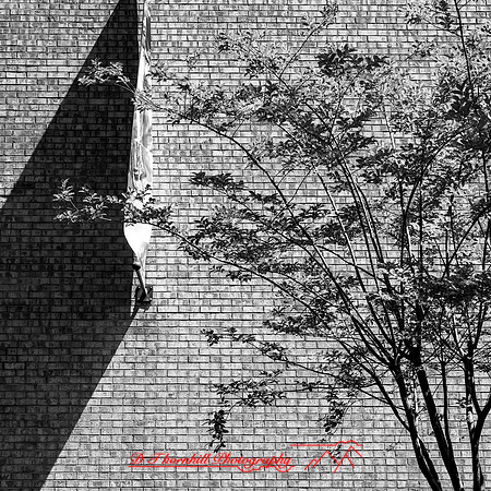 2023 ramdom walk about photo - 016