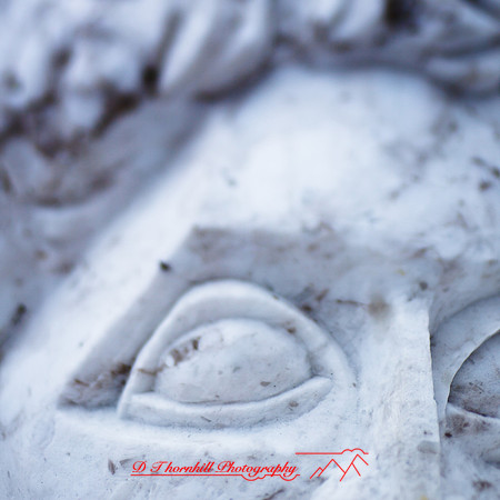 snowfest-images_2013-18