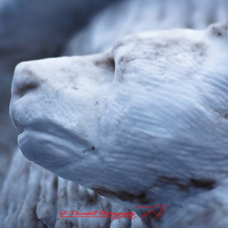 snowfest-images_2013-21