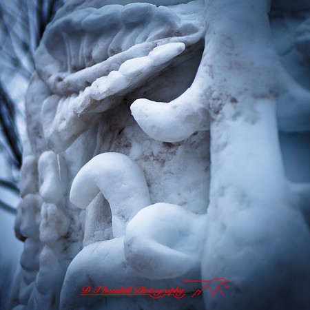 snowfest-images_2013-23