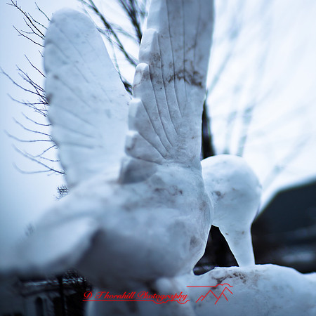 snowfest-images_2013-24