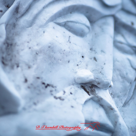 snowfest-images_2013-25