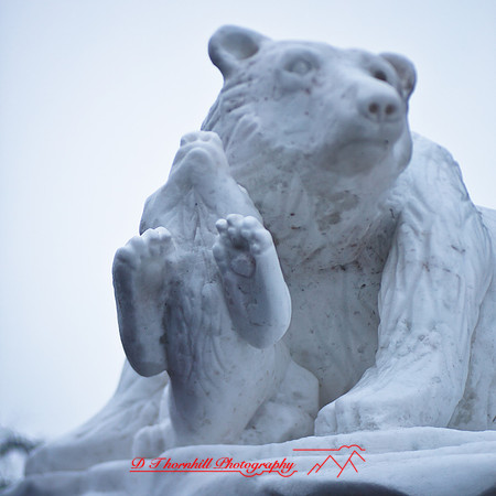snowfest-images_2013-28