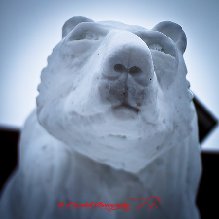 snowfest-images_2013-29