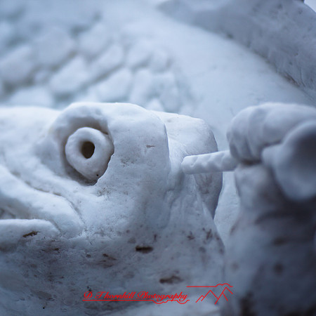 snowfest-images_2013-30