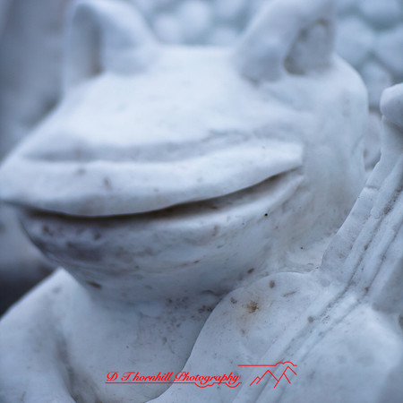 snowfest-images_2013-31