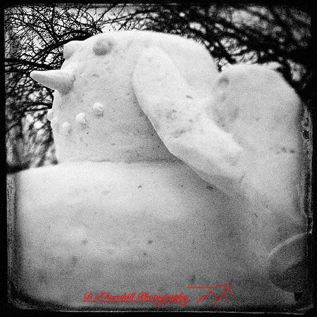 snowfest-images_2013-35-nas