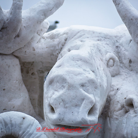 snowfest-images_2013-36