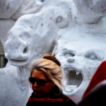 snowfest-images_2013-37