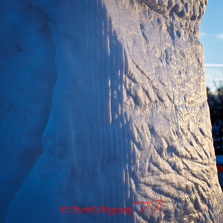snowfest-images_2013-02