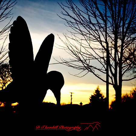 snowfest-images_2013-04