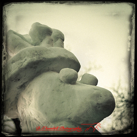 snowfest-images_2013-05-nas