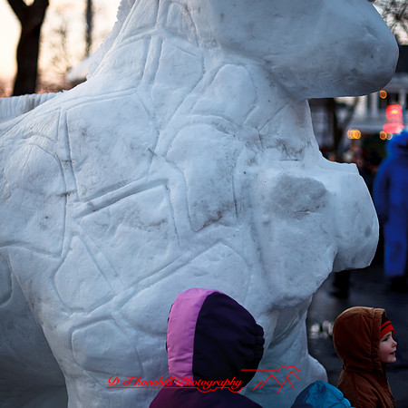 snowfest-images_2013-06-nas