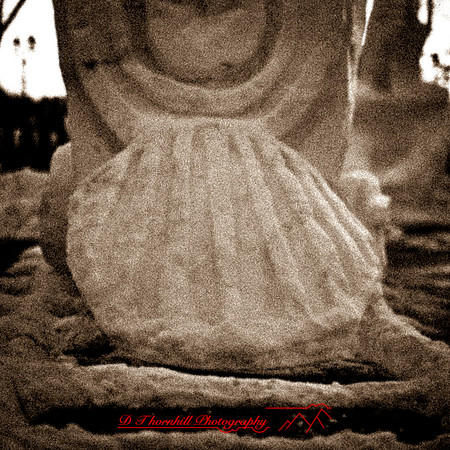 snowfest-images_2013-07