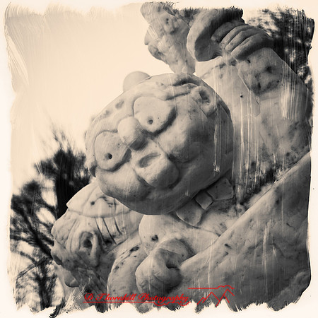snowfest-images_2013-09-nas