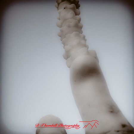 snowfest-images_2013-10