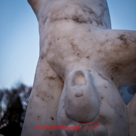 snowfest-images_2013-11