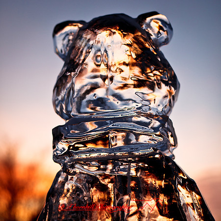 snowfest-images_2013-15