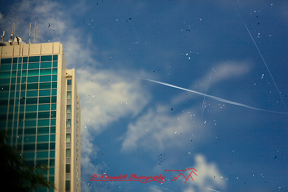 assorted_images-2012-076-nas