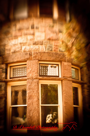 assorted_images-2012-019