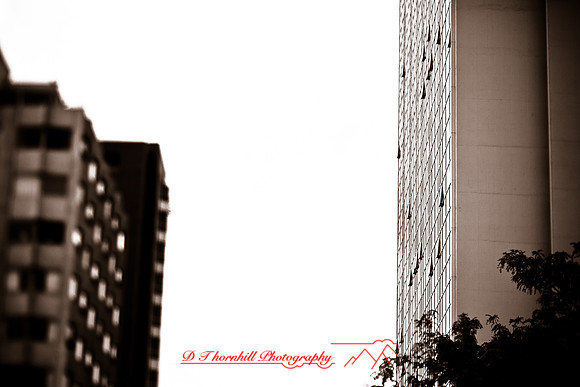 assorted_images-2012-070