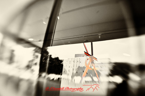 assorted_images-2012-004-nas