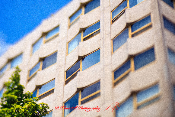 assorted_images-2012-075
