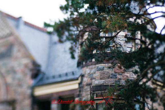 assorted_images-2012-058