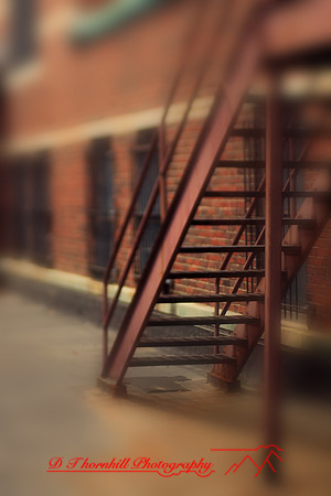 assorted_images-2012-082-nas