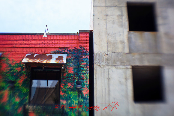 assorted_images-2012-015