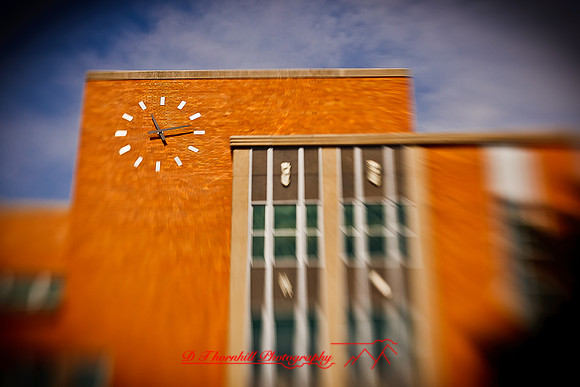 assorted_images-2012-005