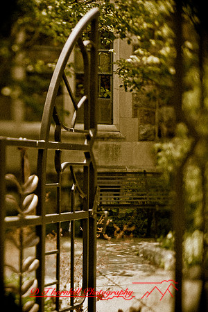 assorted_images-2012-078