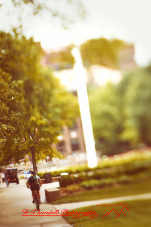 assorted_images-2012-065-nas