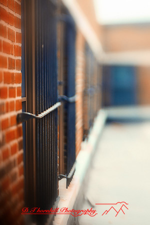 assorted_images-2012-081-nas