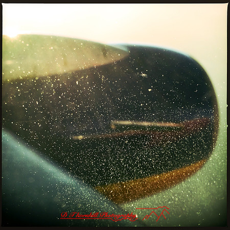 florida-nov-2015-iphone-images-008