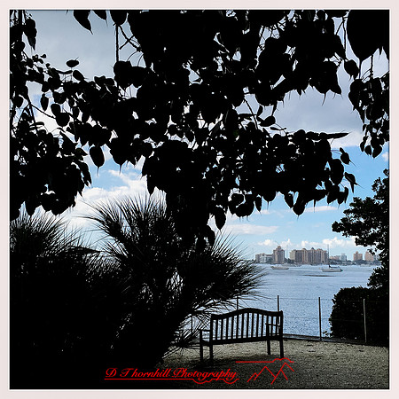 florida-nov-2015-iphone-images-046