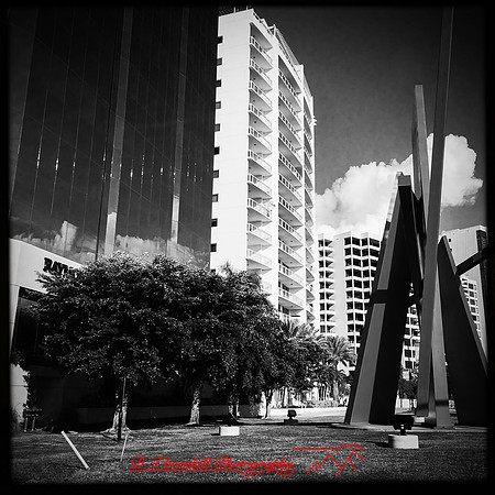 florida-nov-2015-iphone-images-050