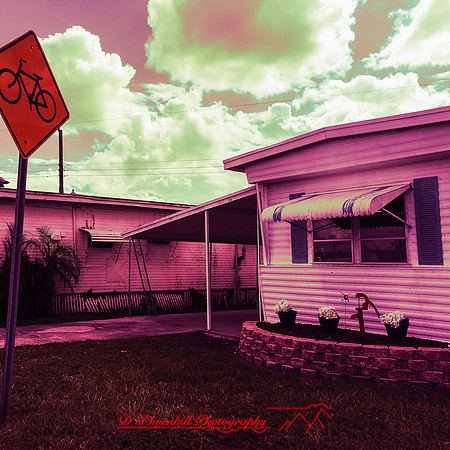 florida-nov-2015-iphone-images-042