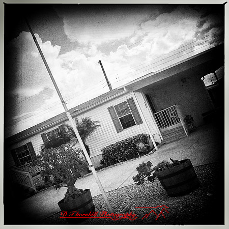 florida-nov-2015-iphone-images-043