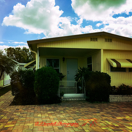 florida-nov-2015-iphone-images-044