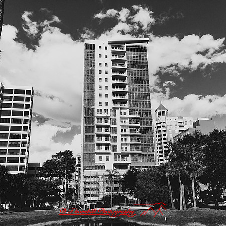 florida-nov-2015-iphone-images-048