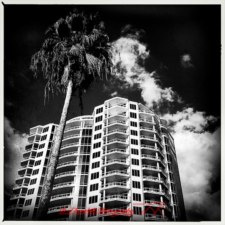 florida-nov-2015-iphone-images-047
