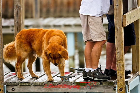 river-roar-2012-firday-random-043