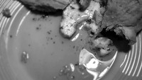 iPhone-2018-food-153