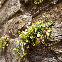 ireland-2013-298