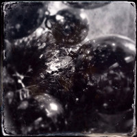Gallery #4