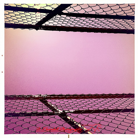 iPhones-2014-095