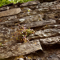 ireland-2013-300